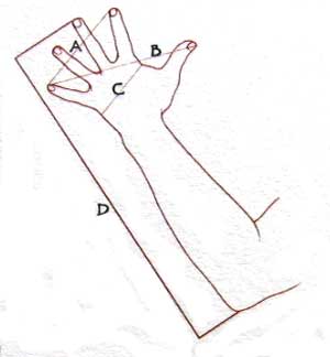 La regla m&aacute;s ant&iacute;gua conocida